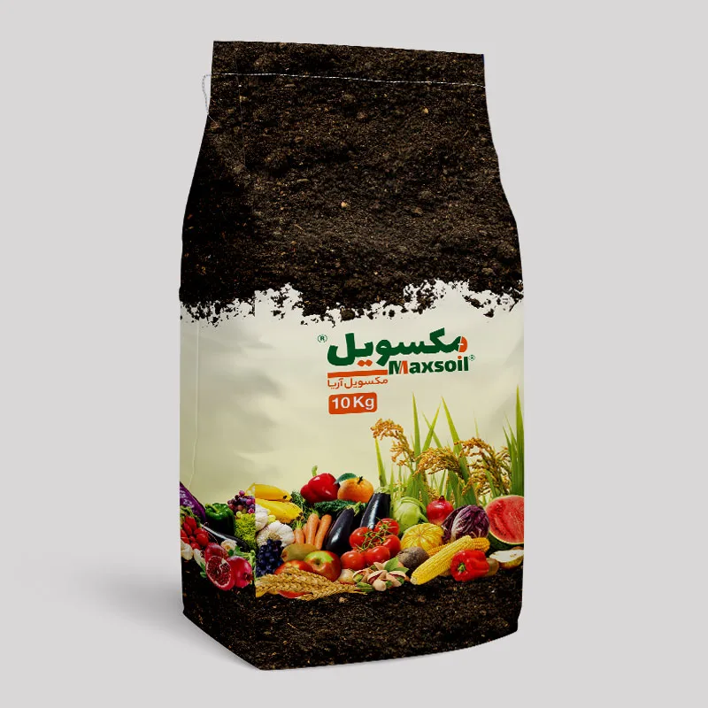 مکسویل آریا