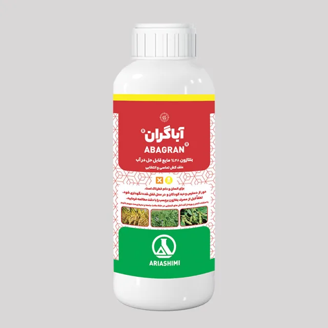 بنتازون آریا (آباگران)